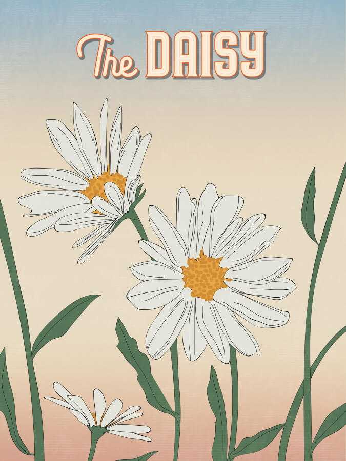 The Daisy Print Winter Lim Larica Museo By: - Poster and